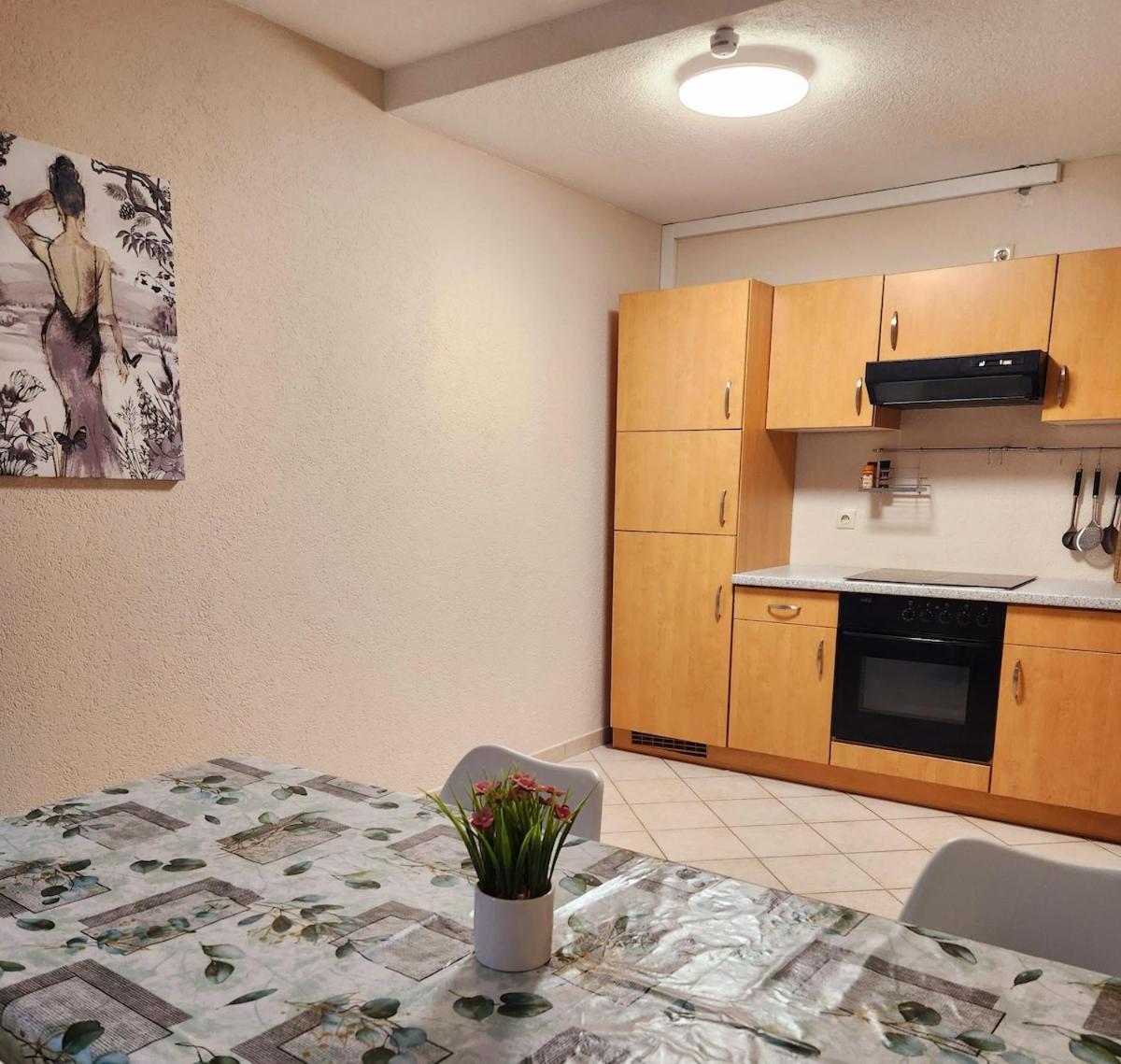 Sj Apartment 켐니츠 외부 사진